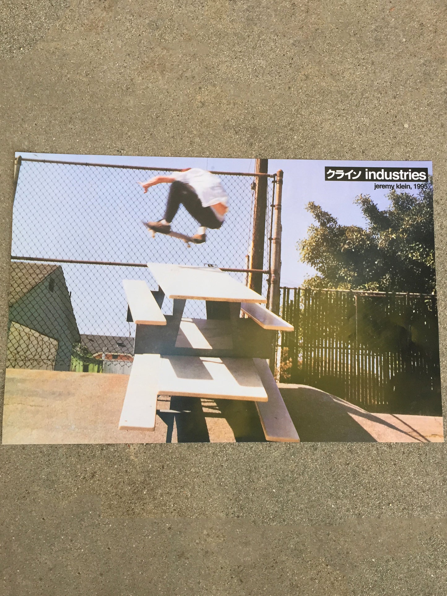 jeremy klein 2 table ollie poster 24 X 16